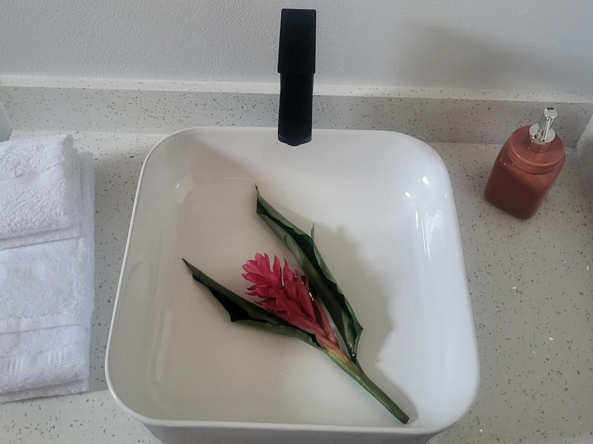 Madre Terra Panzió Uvita Kültér fotó